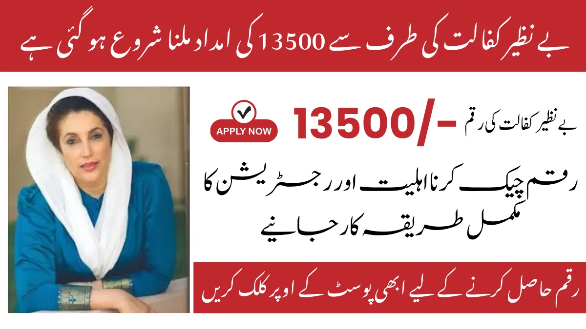 13500 BISP 8171 New Scheme Update: Check Online Registration