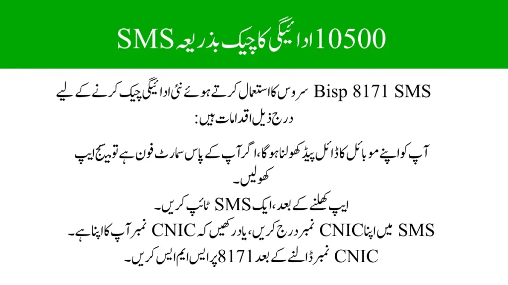 Instant 10500 Payment Check via SMS and 8171 Web Portal 2024