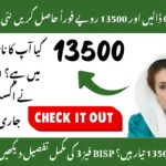BISP 8171 Balance Check & Payment Guide 2025: Complete CNIC Verification Tutorial