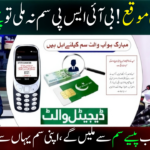 BISP Payment Complaint 2026: Fast Guide for Delays & Blocks