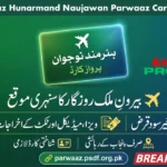 Maryam Nawaz Hunarmand Naujawan Parwaaz Card Apply Online