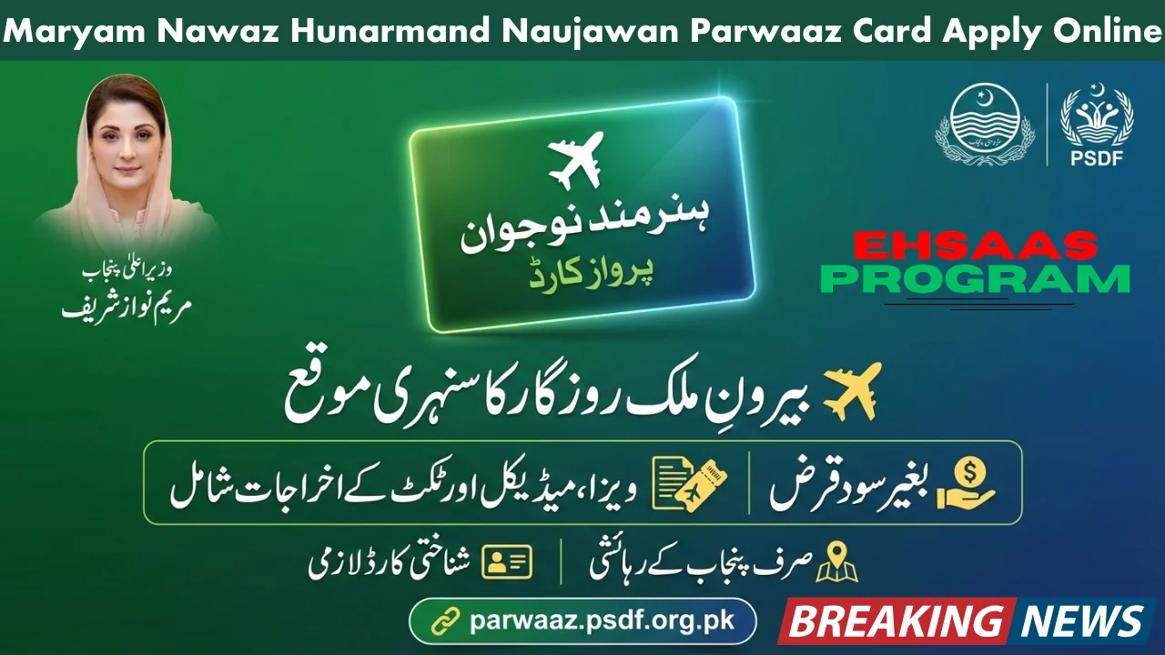 Maryam Nawaz Hunarmand Naujawan Parwaaz Card Apply Online