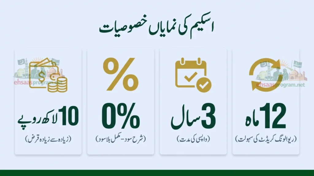 Key Features of CM Punjab Asaan Karobar Card