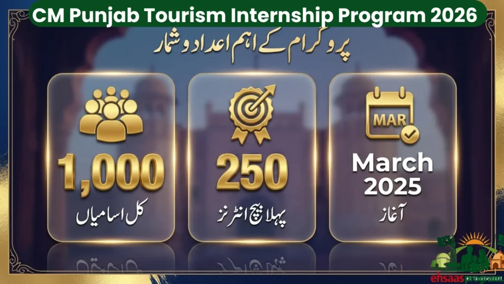 Key Highlights of the Internship Program