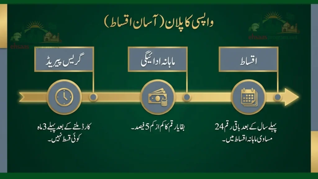 Loan Disbursement & Repayment Structure